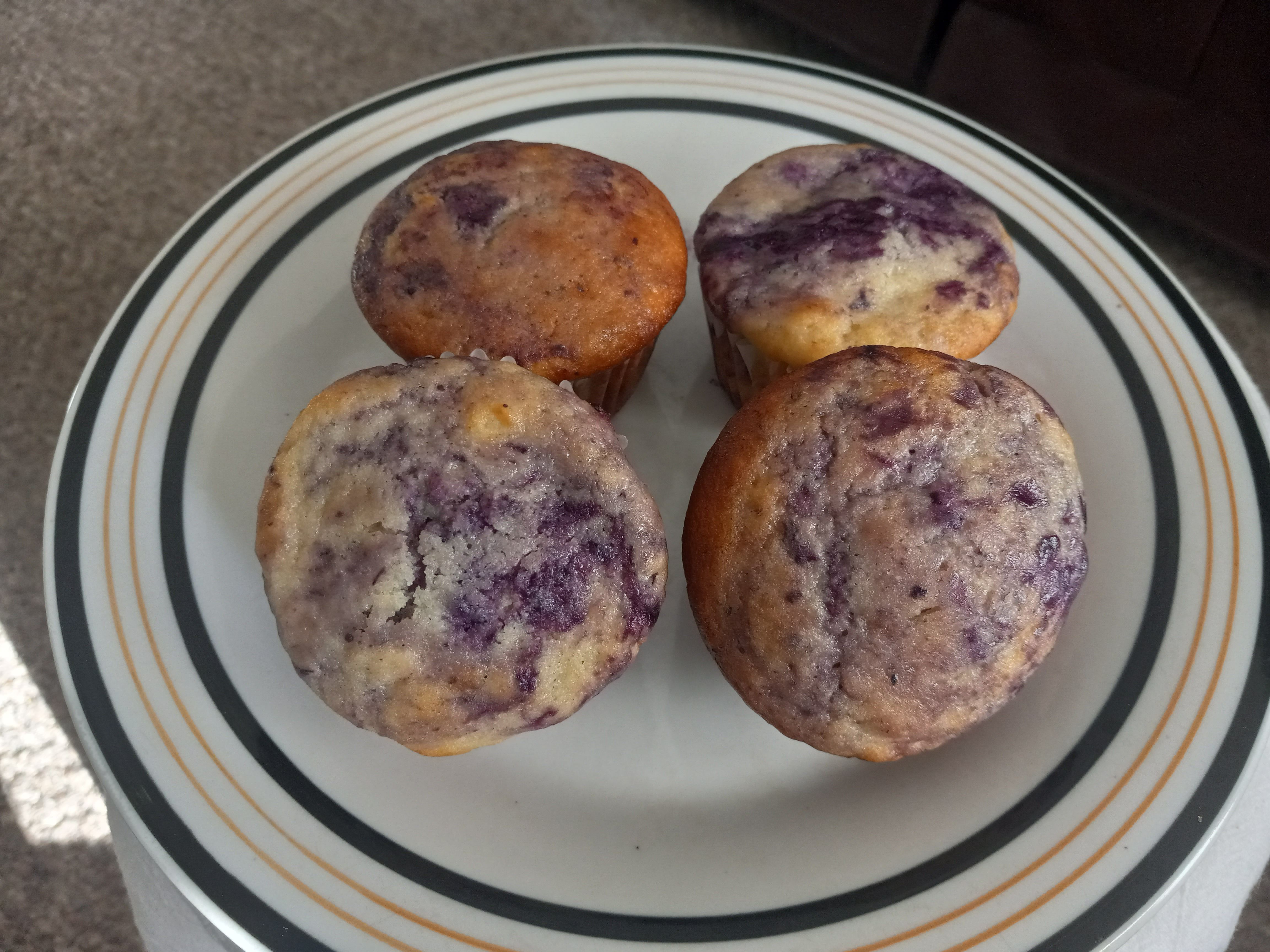 Blueberry Muffins - 9 