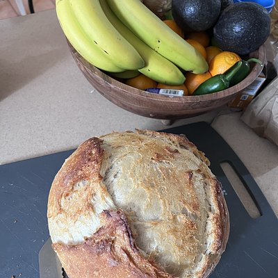 Sour Dough Loaf
