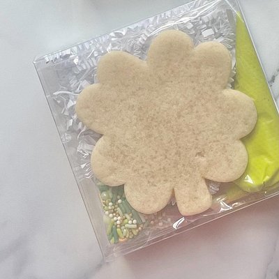 Coloring Cookie Kit