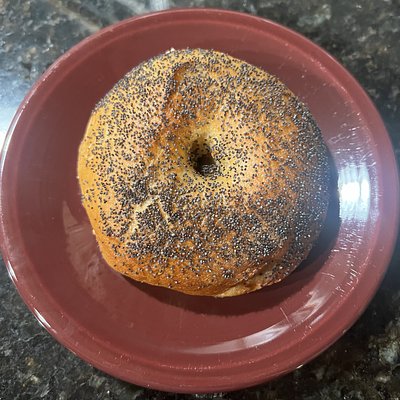 6 NY Style Sourdough Bagels- Poppy Seed