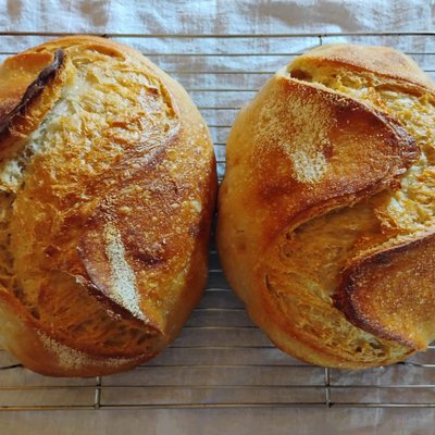 Classic Artsian Sourdough Loaf