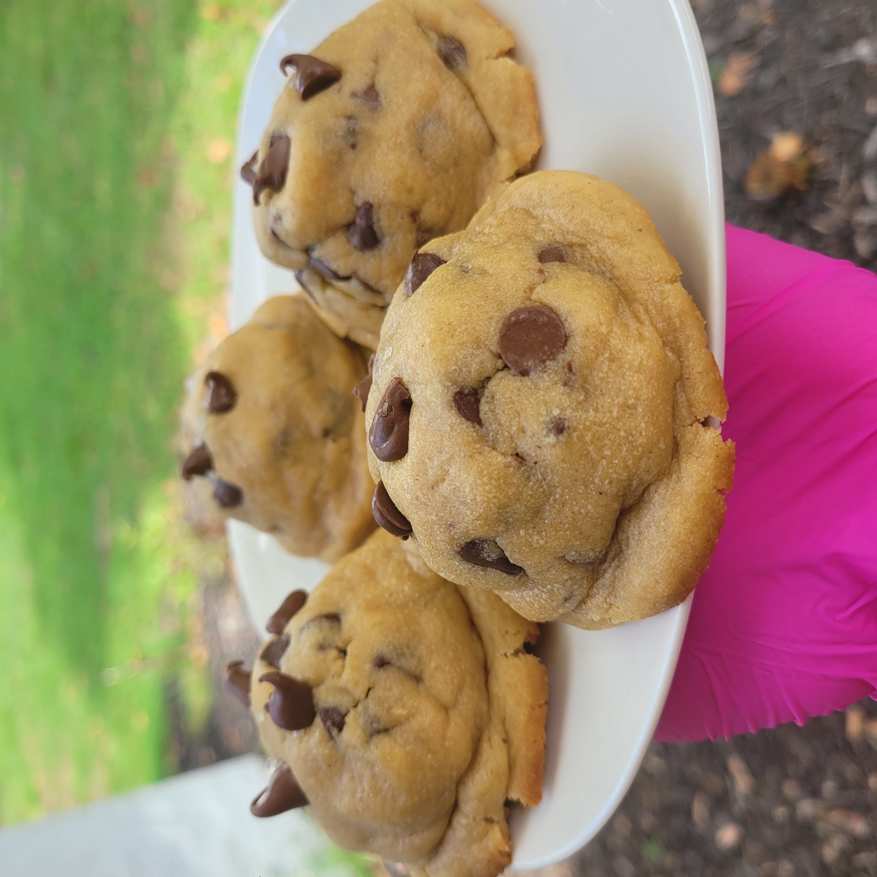 Gourmet Colossal Chocolate Chip Cookie