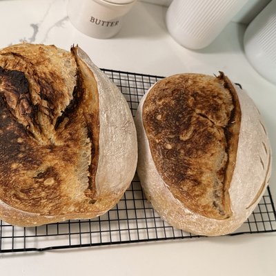 Plain Sourdough
