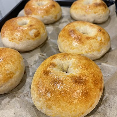 6 Plain Sourdough Bagel🥯