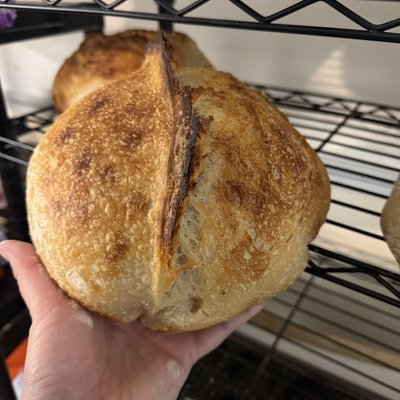 Sourdough