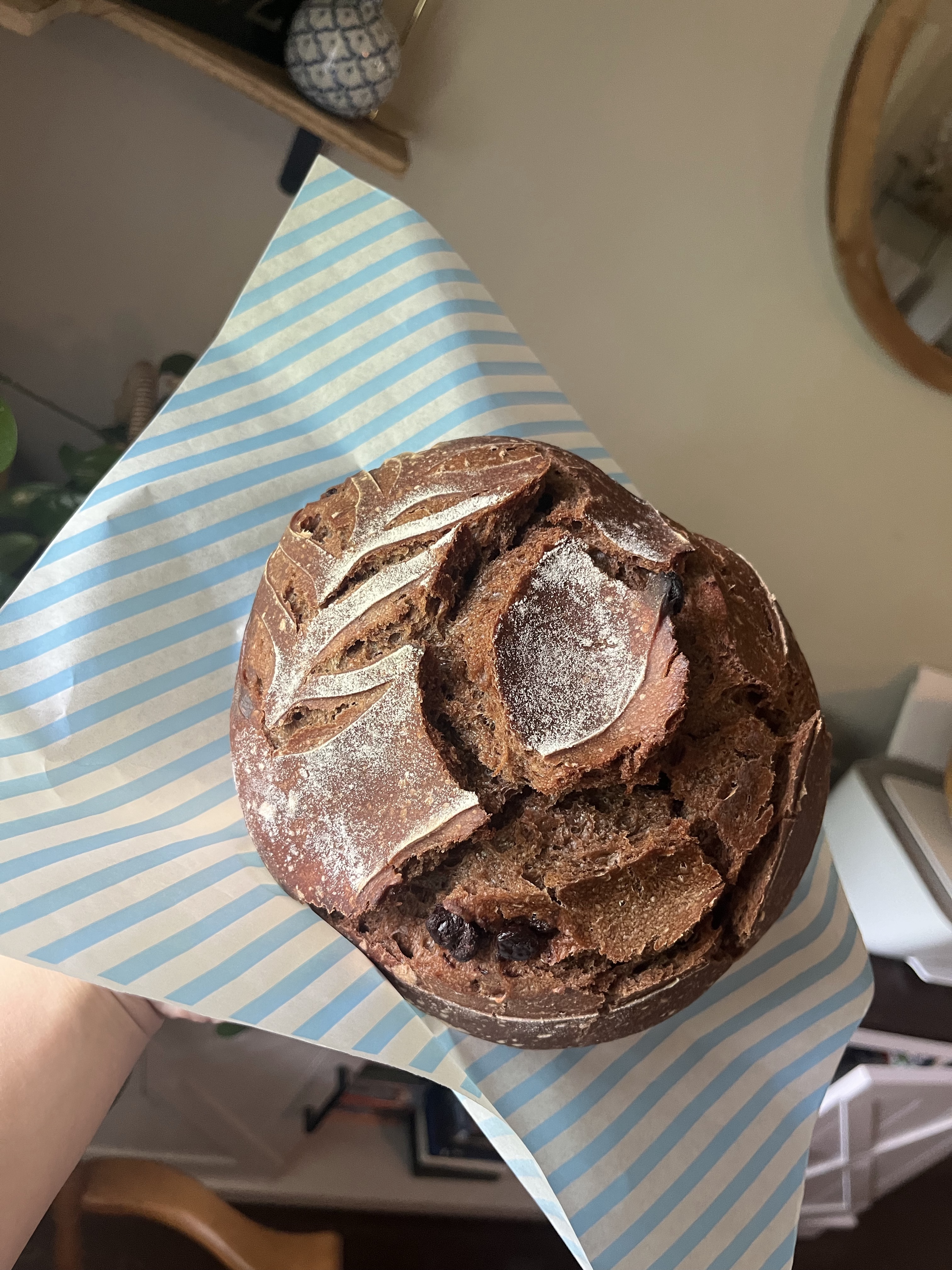 Mini Double Chocolate Sourdough Loaf