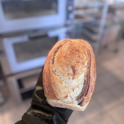Plain Mild Sourdough Loaf 
