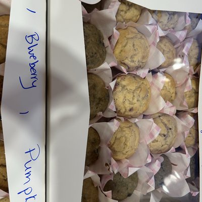 Large Muffins 