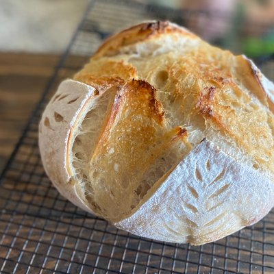 Galric Rosemary +/- Asiago