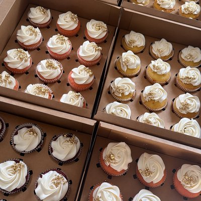 Basic Cupcakes