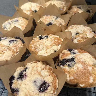 Dozen Mini Sourdough Blueberry Crumb Muffins 