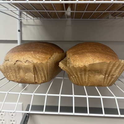 Organic Sprouted Ezekiel Bread