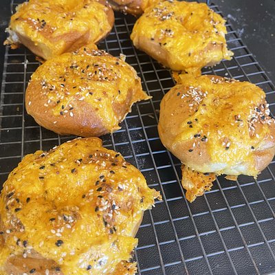 Cheddar Bagel 