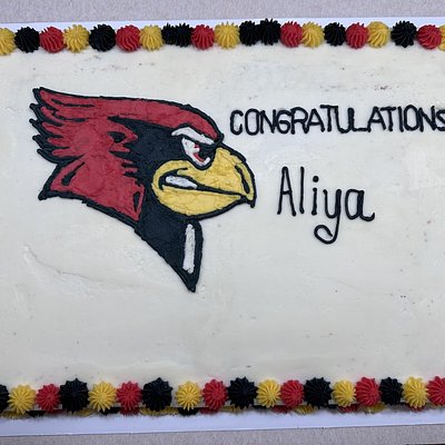 Quarter Sheet Cake (9x13) - 18+ Servings 