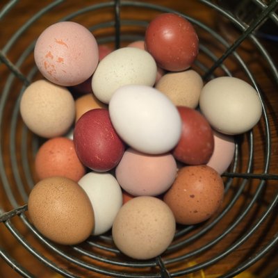Farm Fresh Eggs 