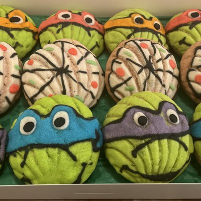 Teenage mutant ninja turtles 