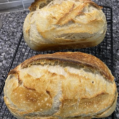 Plain Loaf