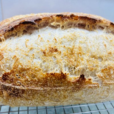 Loaf- Plain