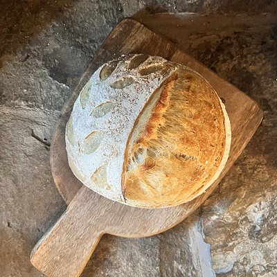 Large Rosemary Olive Oil Boule