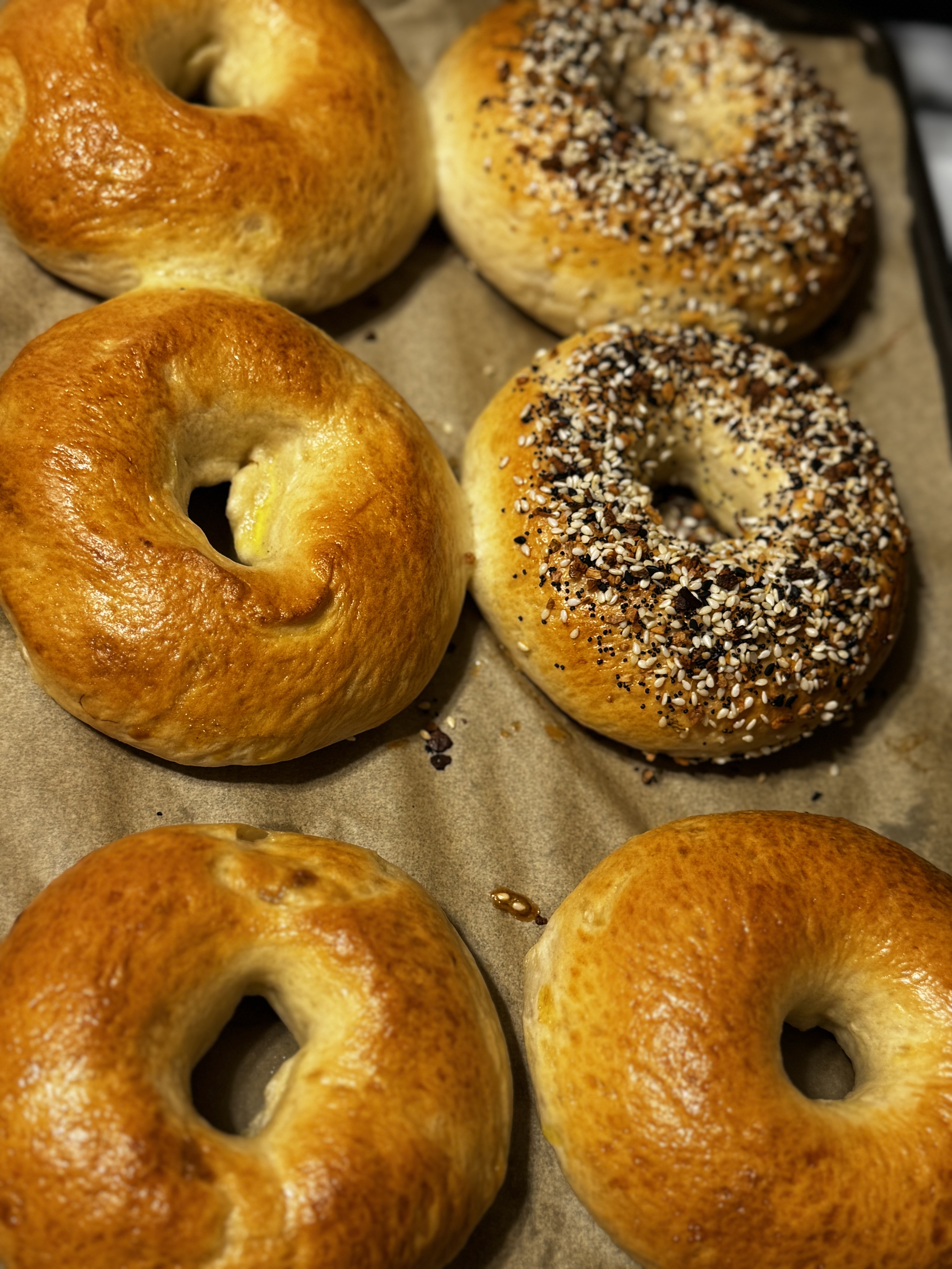 New York Style Bagels