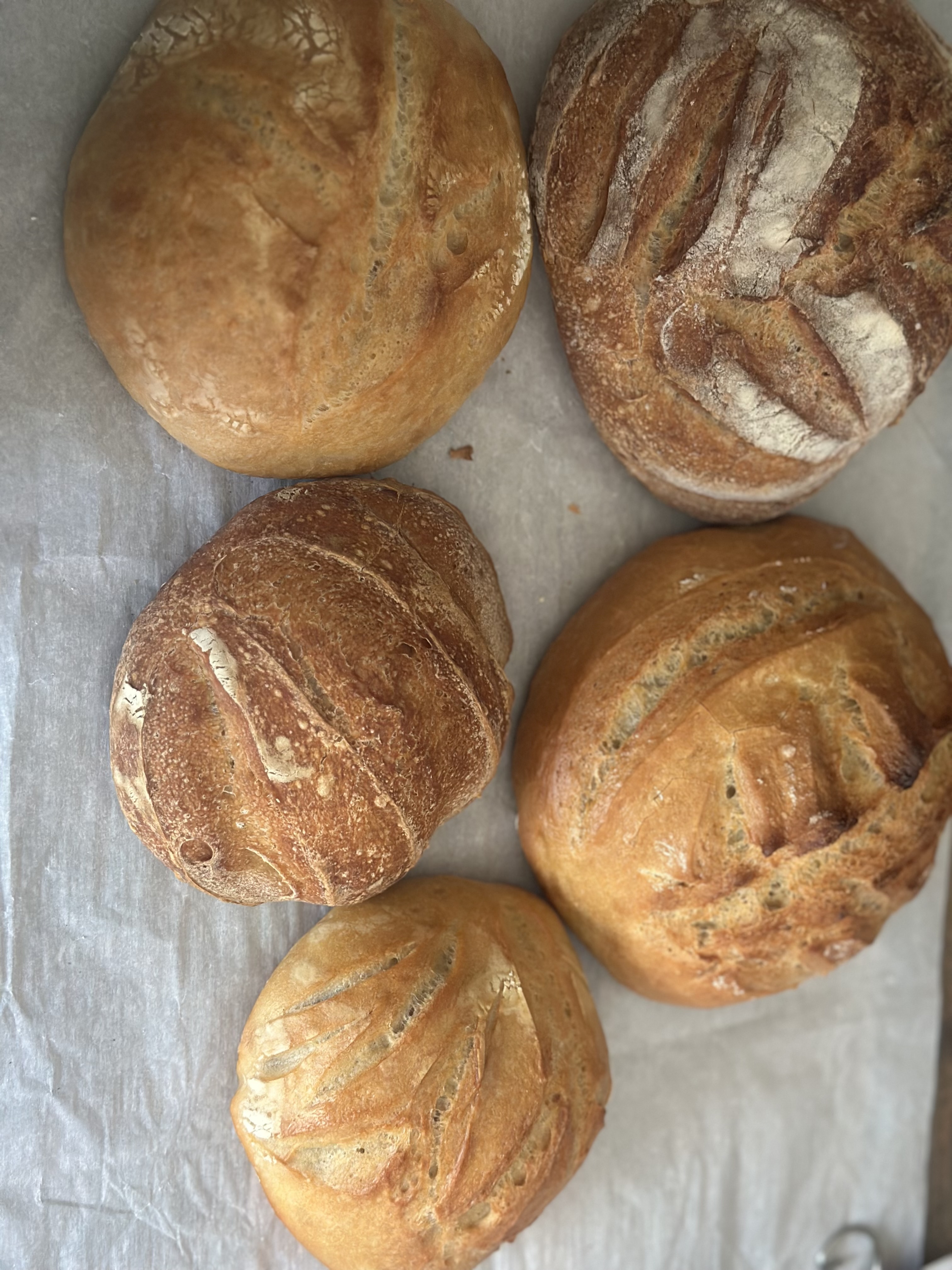 Mini Loafs