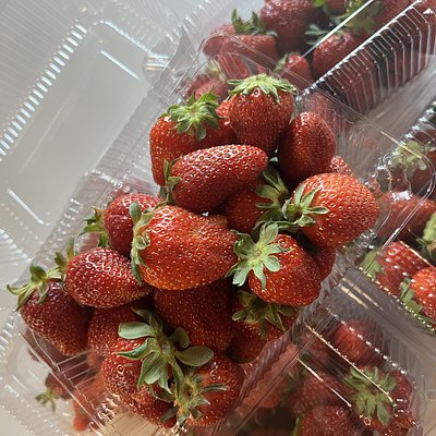 1 Pound Strawberries Freshly Picked 