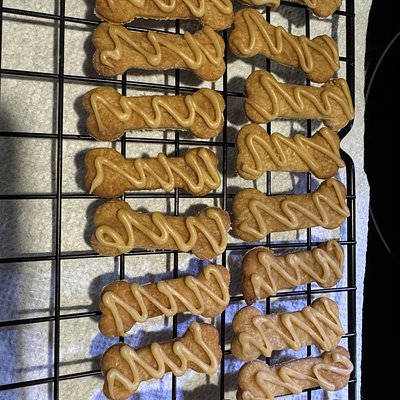 Puppy Biscuit