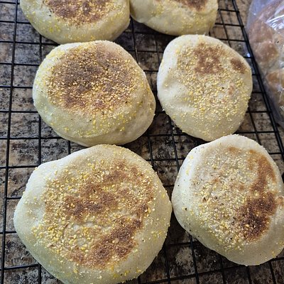 Sourdough English Muffins 6pk