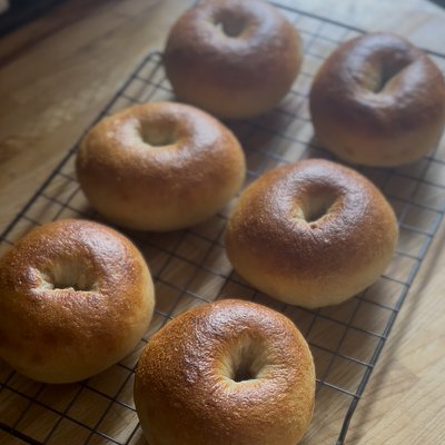 Plain Bagels