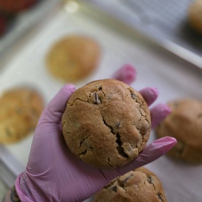 Chocolate Chip Cookie