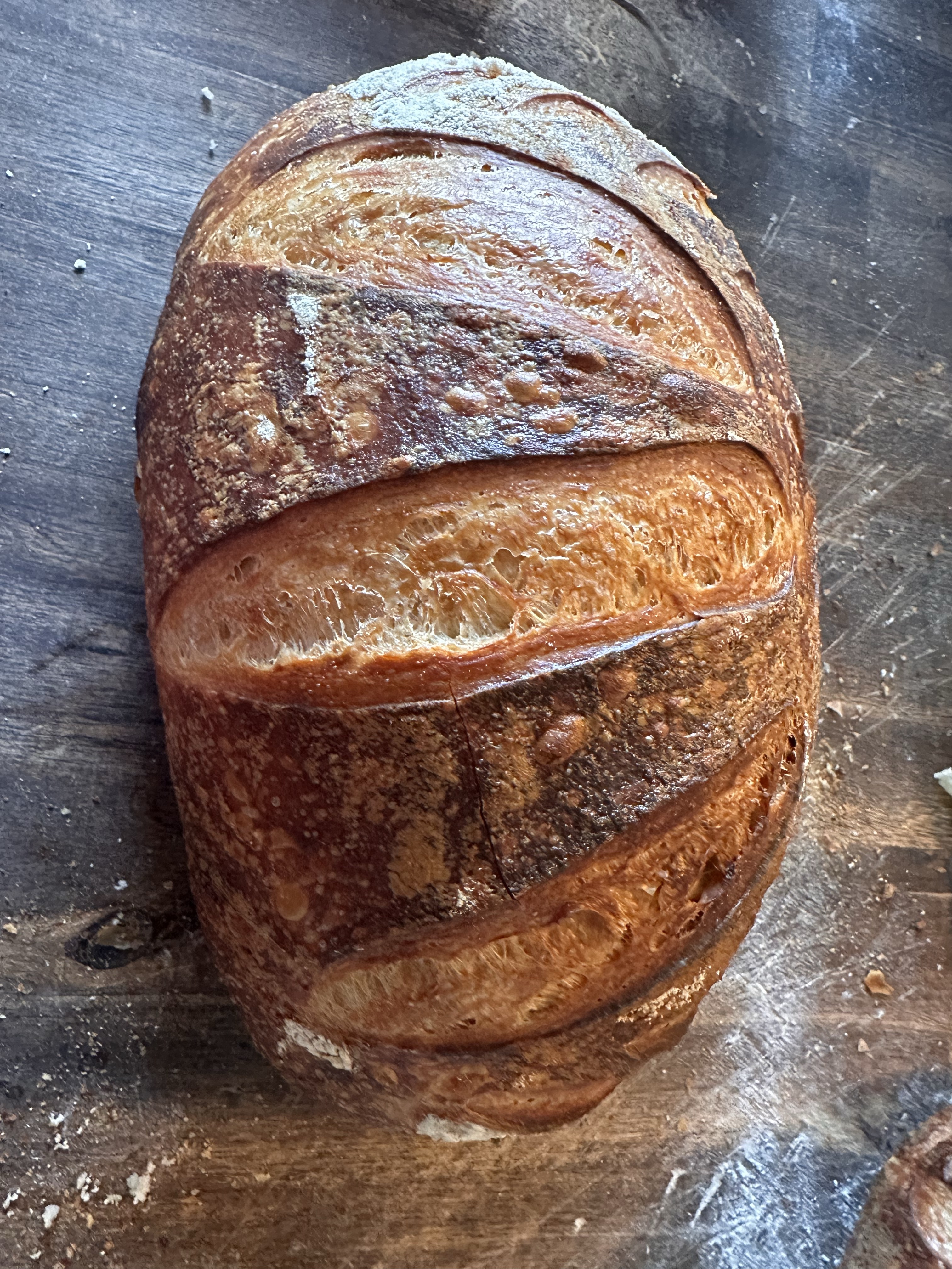 Sourdough Loaf Plain 