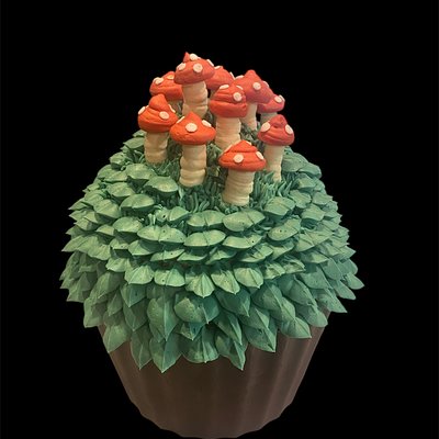 Giant Cupcake 