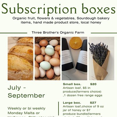 Large Box Subscriber(summer)