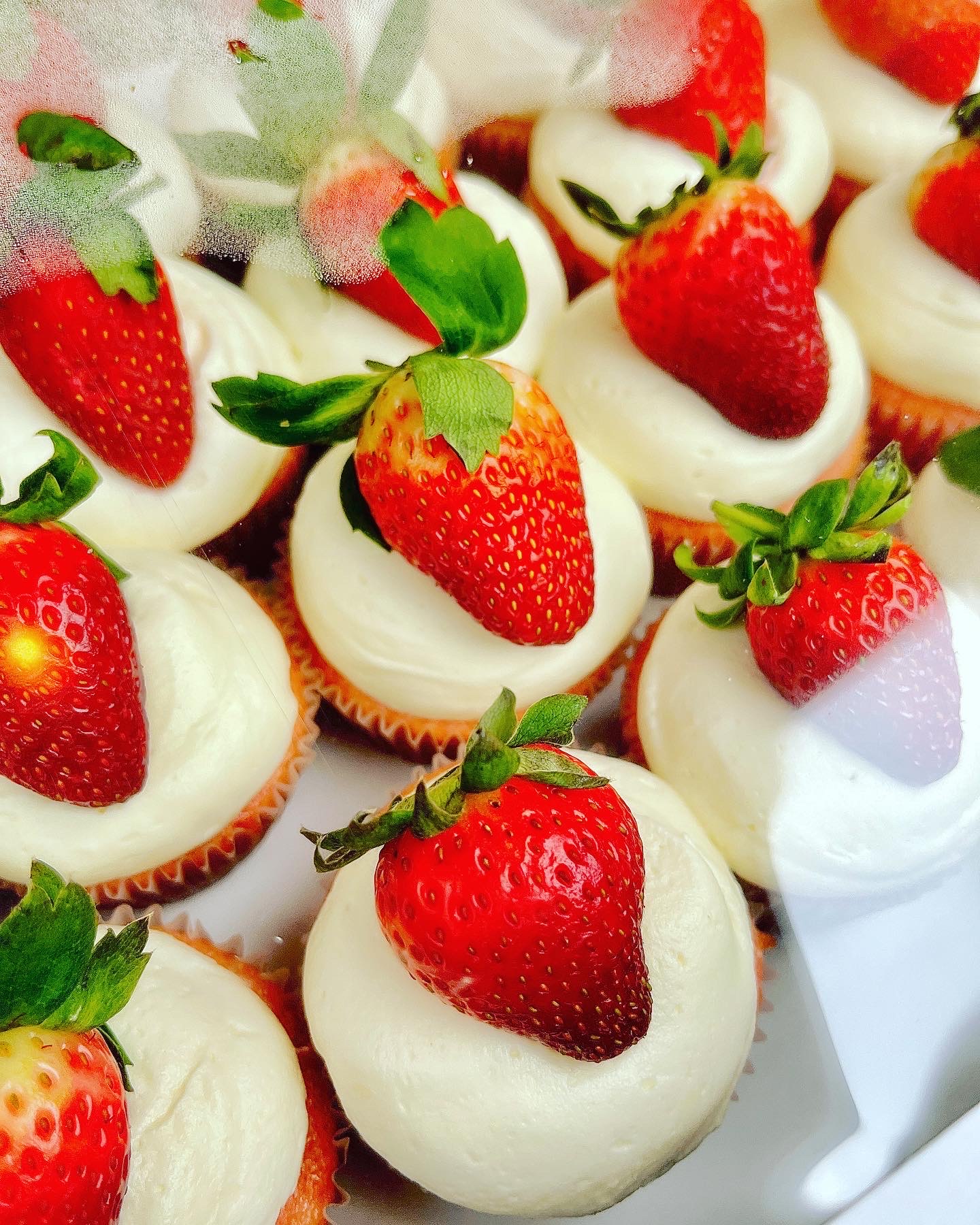 Cupcakes 