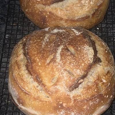Plain Sourdough