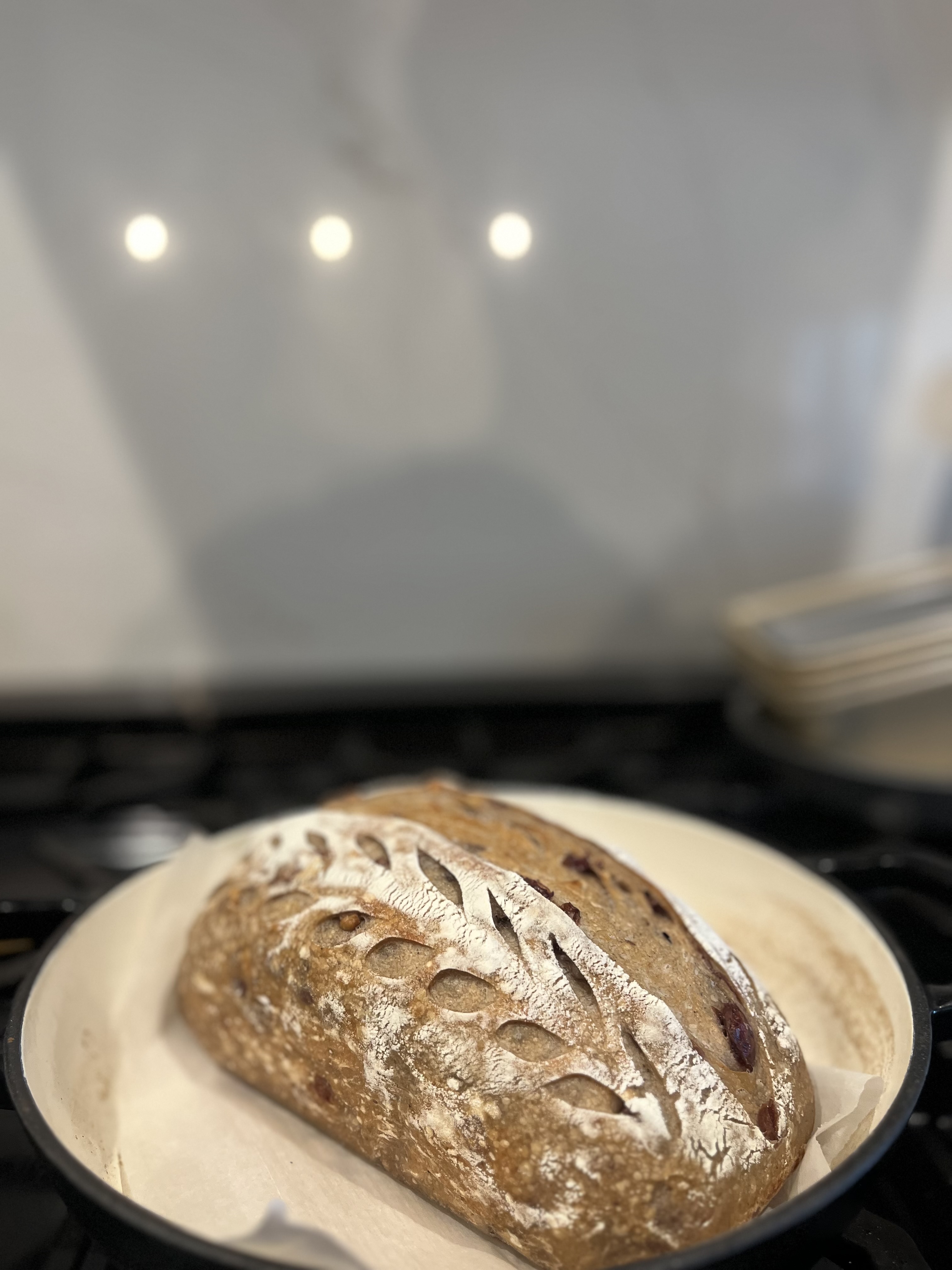 Cranberry Walnut Sourdough Loaf