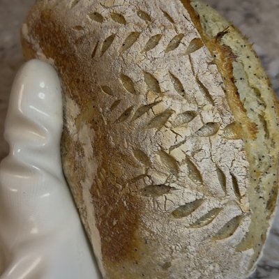 Lemon poppyseed Sourdough 
