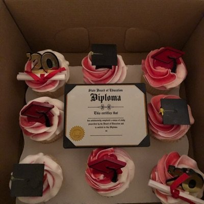 Graduation  Cupcakes Individuals 