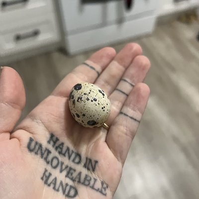Quail Eggs (18)