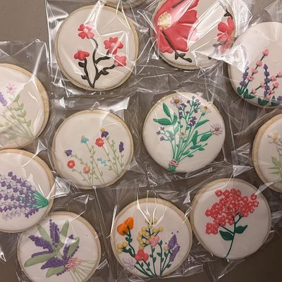 Decorated Sugar Cookies 