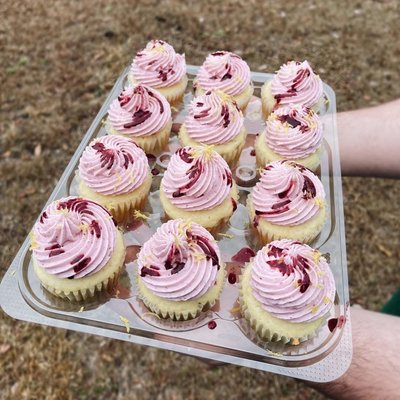 Cupcakes - Basic 