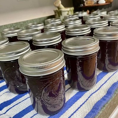 Blueberry Jam 