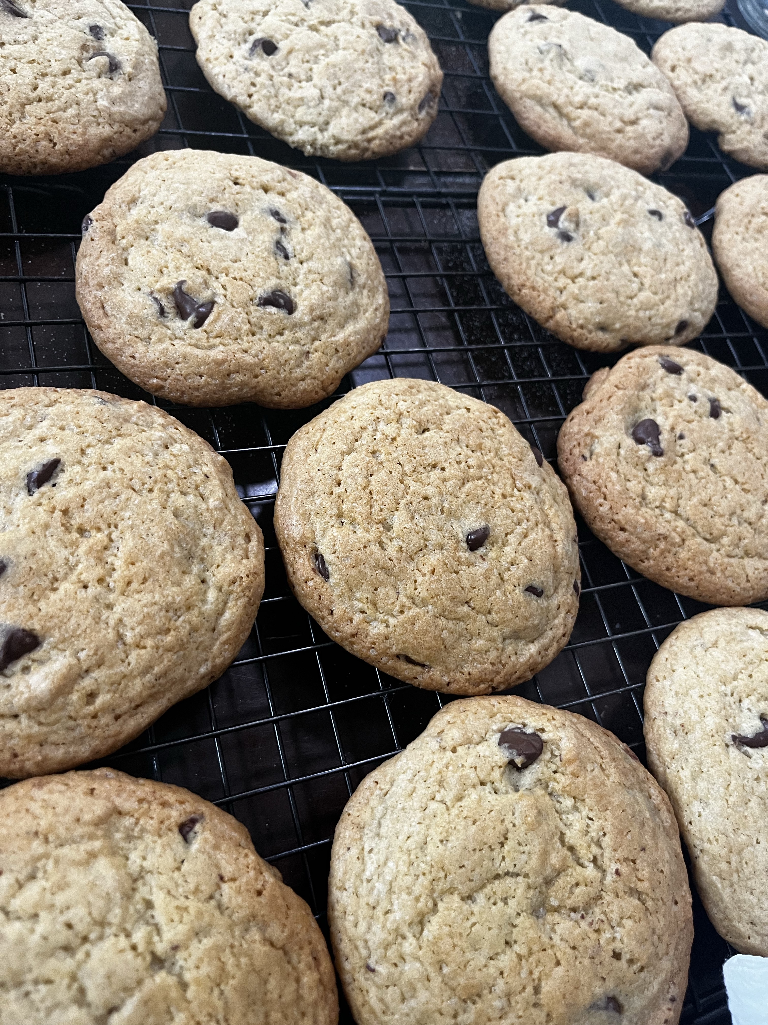Sourdough Chocolate Chip Cookies 