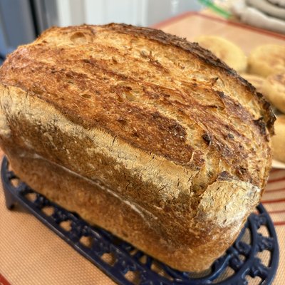 Family Friendly Sourdough Sandwhich Loaf