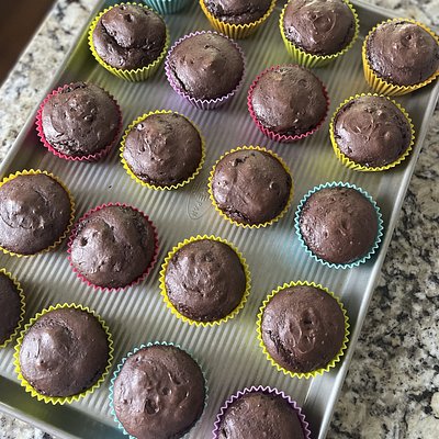 Double Chocolate Chip Protein Muffins - 20 Muffins 