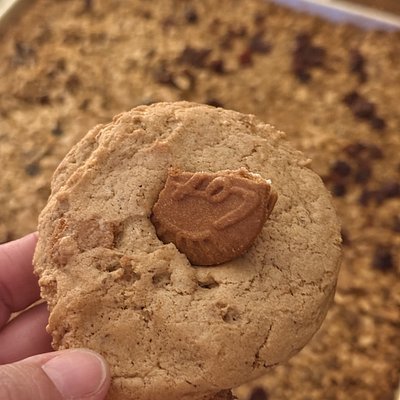 biscoff cookie butter cookies (6)