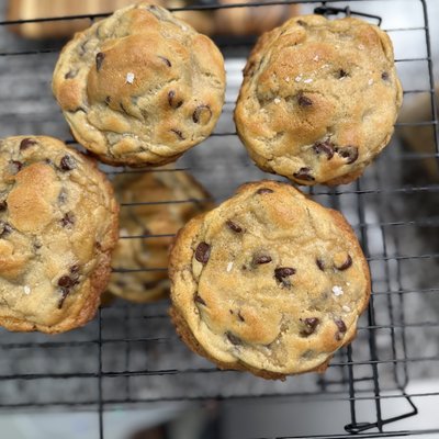 Chocolate Chip