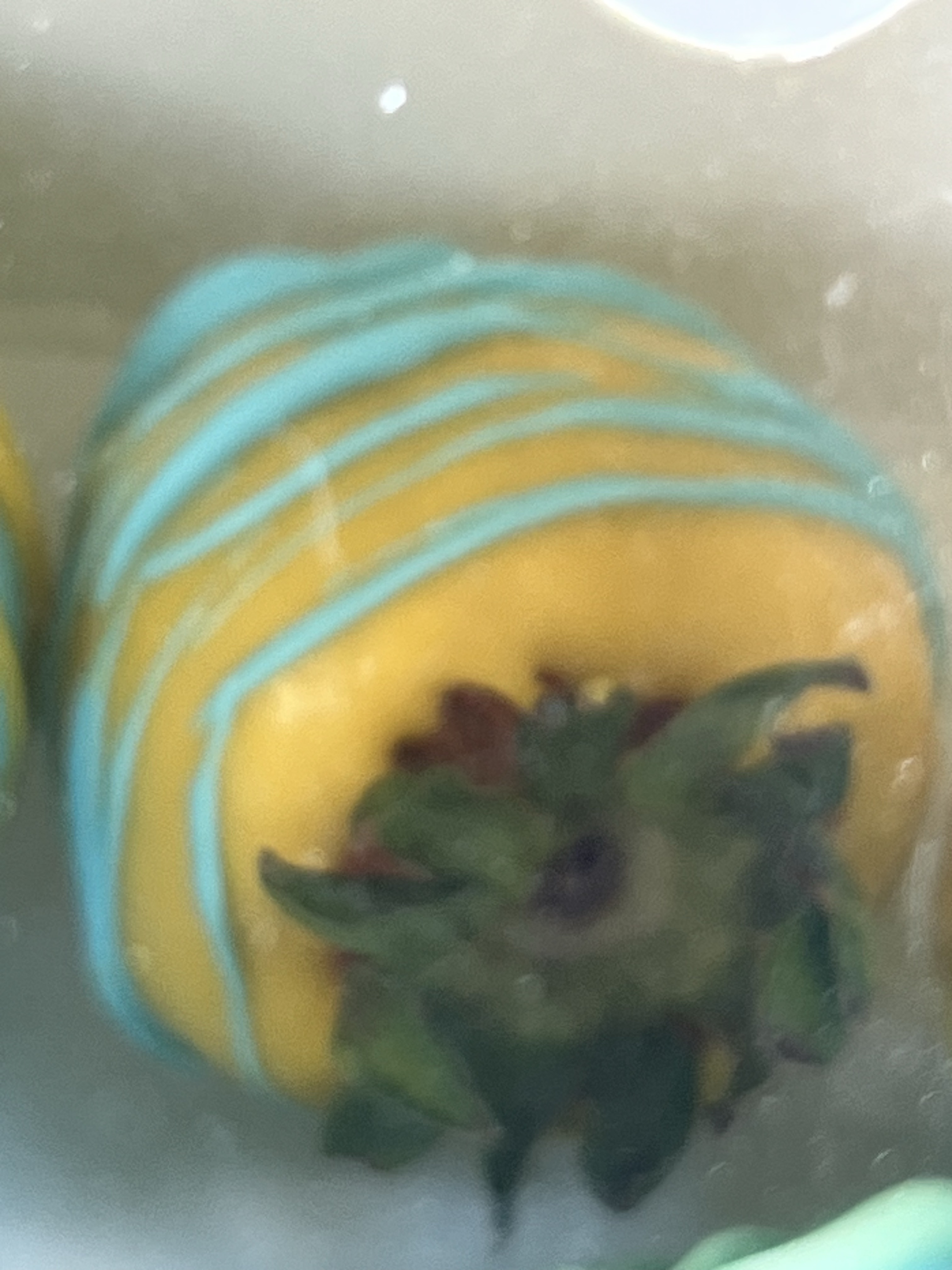 Basic Mixed Treat Box 