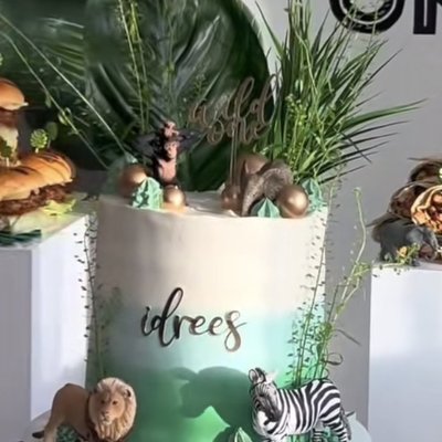 Safari Cake 