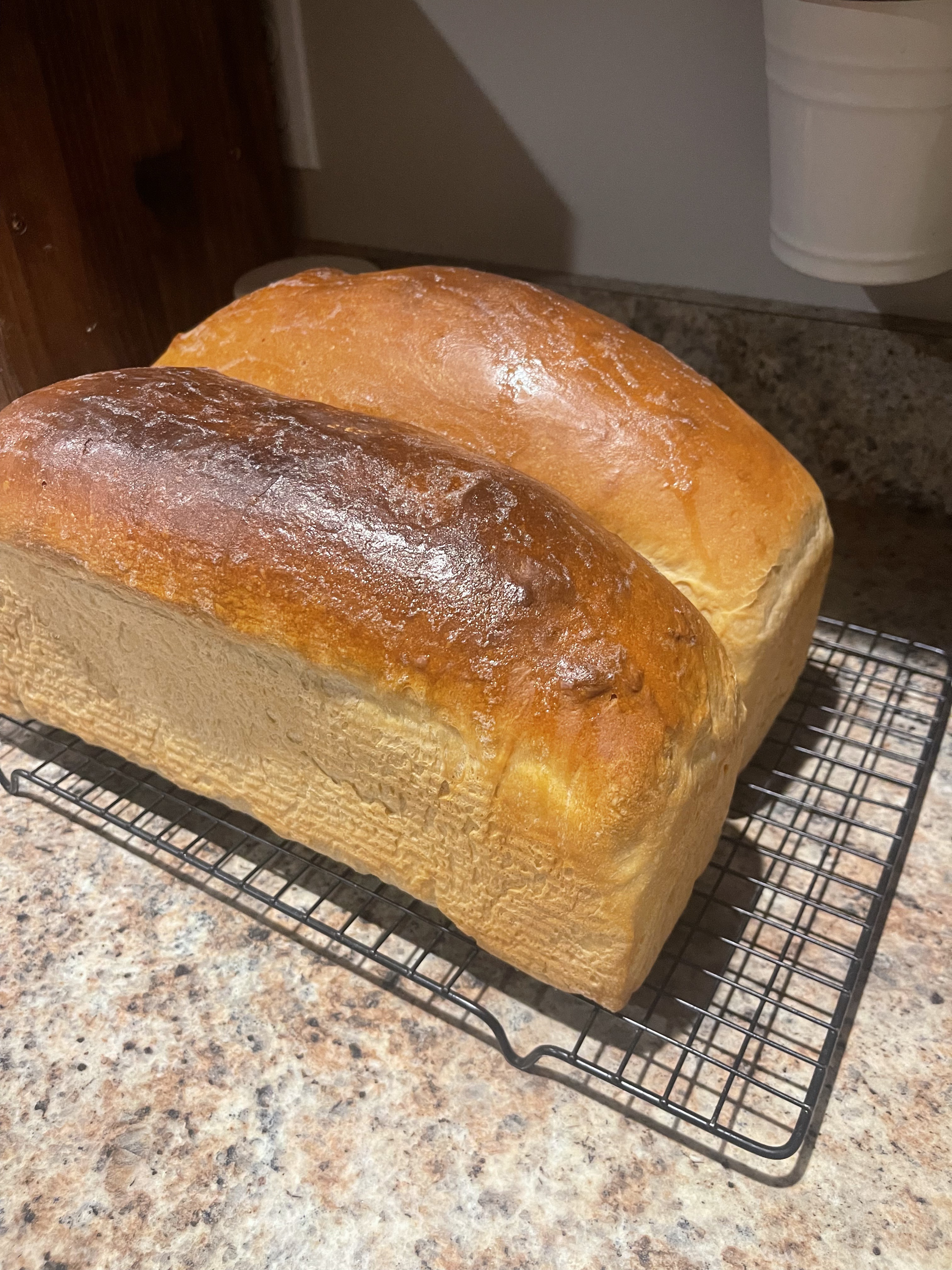Sourdough Sandwich Loaf
